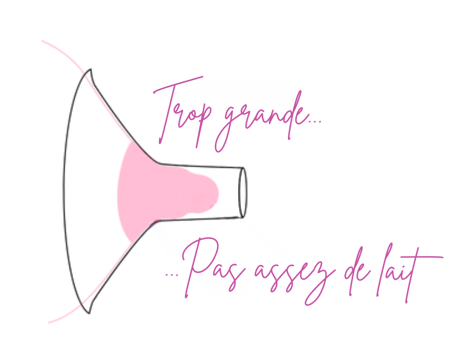 Photo teterelle trop grande 3